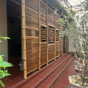Alternative view of Dại tre cổ nhà thờ