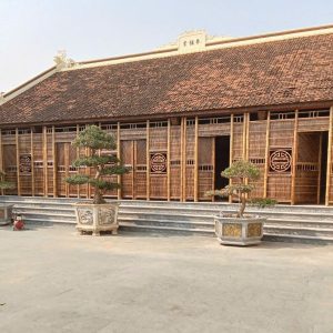 Alternative view of Dại tre cổ nhà thờ